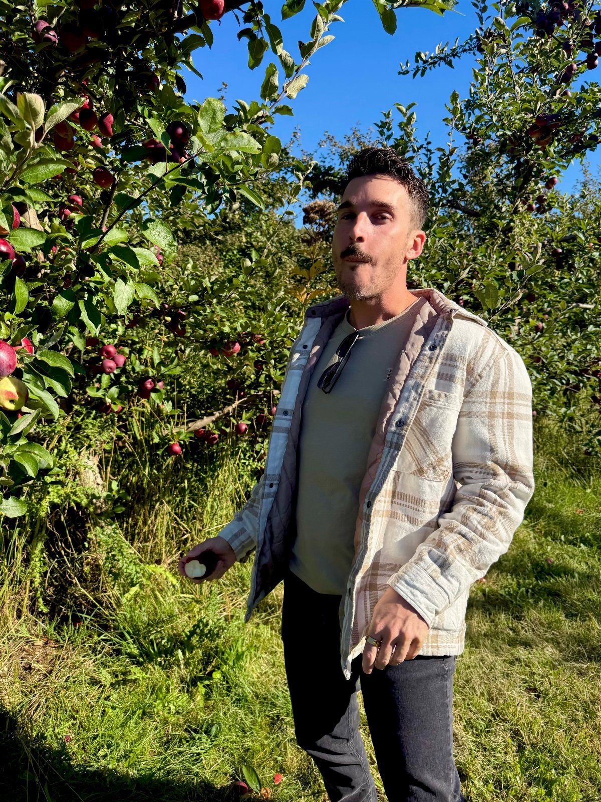 Man wearing a beige plaid shirt standing in an apple orchard with red apples.